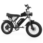 Ridstar Q20 sähköfatbike parkissa Helsingin rantabulevardilla