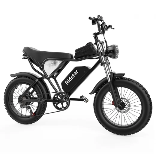 Ridstar Q20 sähköfatbike parkissa Helsingin rantabulevardilla