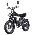 Ridstar Q20 PRO sähköfatbike parkissa Helsingin Kruunuvuorenrannassa