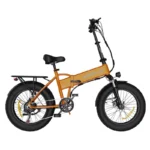 Koolux BK10S 750W taitettava sähköpyörä metsäpolulla